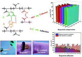 Graphical abstract: Anti-fatigue adhesive and tough hydrogels regulated by adenine and uracil