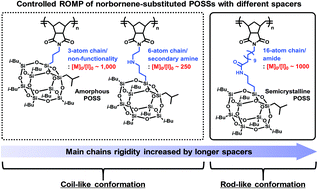 Graphical abstract: Molecular and kinetic design for the expanded control of molecular weights in the ring-opening metathesis polymerization of norbornene-substituted polyhedral oligomeric silsesquioxanes