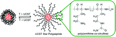 Graphical abstract: Enzymatically degradable star polypeptides with tunable UCST transitions in solution and within layer-by-layer films