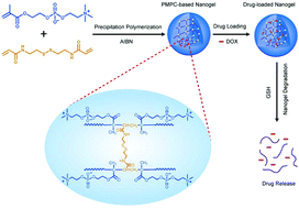 Graphical abstract: Poly(2-methacryloyloxyethyl phosphorylcholine)-based biodegradable nanogels for controlled drug release