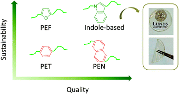 Graphical abstract: Indole as a new sustainable aromatic unit for high quality biopolyesters