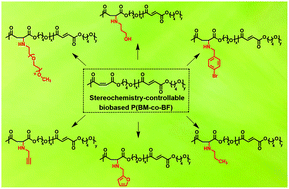 Graphical abstract: Facile preparation of stereochemistry-controllable biobased poly(butylene maleate-co-butylene fumarate) unsaturated copolyesters: a chemoselective polymer platform for versatile functionalization via aza-Michael addition