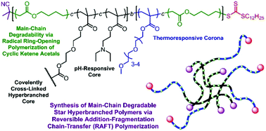 Graphical abstract: Main-chain degradable star polymers comprised of pH-responsive hyperbranched cores and thermoresponsive polyethylene glycol-based coronas