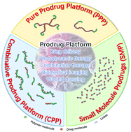 Graphical abstract: Logical design and application of prodrug platforms