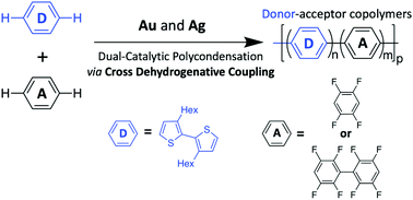 Graphical abstract: Exploration and development of gold- and silver-catalyzed cross dehydrogenative coupling toward donor–acceptor π-conjugated polymer synthesis