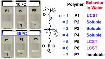 Graphical abstract: Zwitterionic poly(sulfobetaine methacrylate)s in water: from upper critical solution temperature (UCST) to lower critical solution temperature (LCST) with increasing length of one alkyl substituent on the nitrogen atom