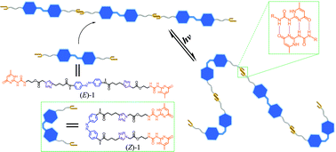 Graphical abstract: Photoresponsive supramolecular polymers based on quadruple hydrogen-bonding and a photochromic azobenzene motif