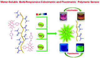 Graphical abstract: BODIPY-derived multi-channel polymeric chemosensor with pH-tunable sensitivity: selective colorimetric and fluorimetric detection of Hg2+ and HSO4− in aqueous media