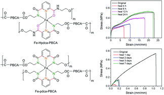 Graphical abstract: New insights into the mechanical and self-healing properties of polymers cross-linked by Fe(iii)-2,6-pyridinedicarboxamide coordination complexes