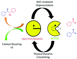 Graphical abstract: Reversible ionically-crosslinked single chain nanoparticles as bioinspired and recyclable nanoreactors for N-heterocyclic carbene organocatalysis