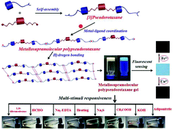 Graphical abstract: A multi-stimuli responsive metallosupramolecular polypseudorotaxane gel constructed by self-assembly of a pillar[5]arene-based pseudo[3]rotaxane via zinc ion coordination and its application for highly sensitive fluorescence recognition of metal ions