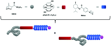 Graphical abstract: Synthesis of sheet-coil-helix and coil-sheet-helix triblock copolymers by combining ROMP with palladium-mediated isocyanide polymerization