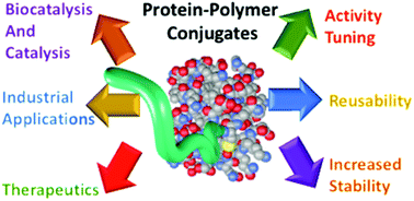 Graphical abstract: Polymer conjugation of proteins as a synthetic post-translational modification to impact their stability and activity