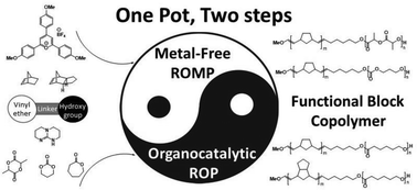 Graphical abstract: Integration of metal-free ring-opening metathesis polymerization and organocatalyzed ring-opening polymerization through a bifunctional initiator