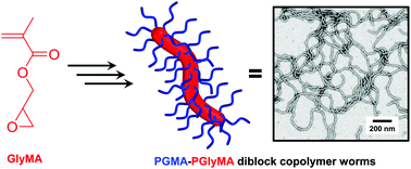 Graphical abstract: Aqueous one-pot synthesis of epoxy-functional diblock copolymer worms from a single monomer: new anisotropic scaffolds for potential charge storage applications