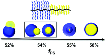 Graphical abstract: Janus particles with tunable shapes prepared by asymmetric bottlebrush block copolymers