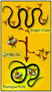 Graphical abstract: M24+ paddlewheel clusters as junction points in single-chain nanoparticles