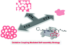 Graphical abstract: Synthesis of carbazole-based microporous polymer networks via an oxidative coupling mediated self-assembly strategy: from morphology regulation to application analysis
