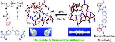 Graphical abstract: Thermo-resettable cross-linked polymers for reusable/removable adhesives