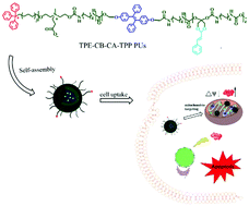 Graphical abstract: Acidity-triggered zwitterionic prodrug nano-carriers with AIE properties and amplification of oxidative stress for mitochondria-targeted cancer theranostics