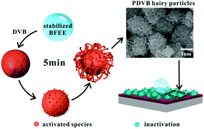 Graphical abstract: Bioinspired hierarchically hairy particles for robust superhydrophobic coatings via a droplet dynamic template method
