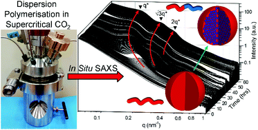 Graphical abstract: Monitoring morphology evolution within block copolymer microparticles during dispersion polymerisation in supercritical carbon dioxide: a high pressure SAXS study