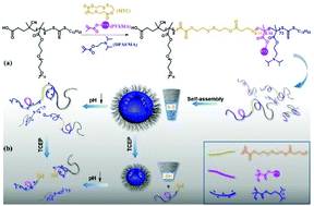 Graphical abstract: Degradable pH and redox dual responsive nanoparticles for efficient covalent drug delivery
