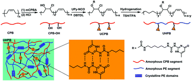 Graphical abstract: One-way and two-way shape memory effects of a high-strain cis-1,4-polybutadiene–polyethylene copolymer based dynamic network via self-complementary quadruple hydrogen bonding