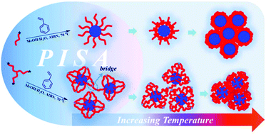 Graphical abstract: Synthesis of star thermoresponsive amphiphilic block copolymer nano-assemblies and the effect of topology on their thermoresponse
