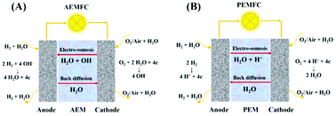 Graphical abstract: Enhanced water transport in AEMs based on poly(styrene–ethylene–butylene–styrene) triblock copolymer for high fuel cell performance