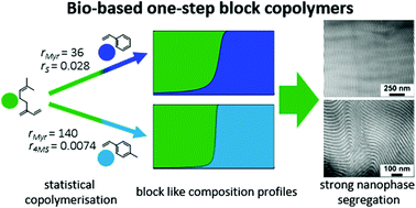 Graphical abstract: Towards bio-based tapered block copolymers: the behaviour of myrcene in the statistical anionic copolymerisation