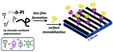 Graphical abstract: Reactive block copolymers for patterned surface immobilization with sub-30 nm spacing