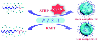 Graphical abstract: Synthesis of block copolymer nano-assemblies via ICAR ATRP and RAFT dispersion polymerization: how ATRP and RAFT lead to differences