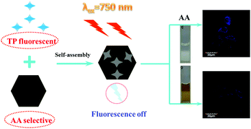 Graphical abstract: Selective and rapid detection of ascorbic acid by a cobalt oxyhydroxide-based two-photon fluorescent nano-platform