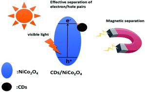 Graphical abstract: Preparation of magnetically separable and recyclable carbon dots/NiCo2O4 composites with enhanced photocatalytic activity for the degradation of tetracycline under visible light