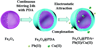 Graphical abstract: Highly efficient Pb(ii) and Cu(ii) removal using hollow Fe3O4@PDA nanoparticles with excellent application capability and reusability