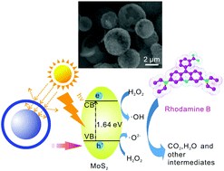 Graphical abstract: Facile synthesis of monodispersed yolk-shelled molybdenum disulfide microspheres with enhanced photocatalytic properties
