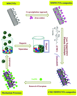 Graphical abstract: Enhanced performance for Eu(iii) ion remediation using magnetic multiwalled carbon nanotubes functionalized with carboxymethyl cellulose nanoparticles synthesized by plasma technology