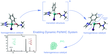 Graphical abstract: In situ transformations of Pd/NHC complexes with N-heterocyclic carbene ligands of different nature into colloidal Pd nanoparticles
