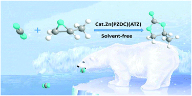 Graphical abstract: The design of a novel and resistant Zn(PZDC)(ATZ) MOF catalyst for the chemical fixation of CO2 under solvent-free conditions