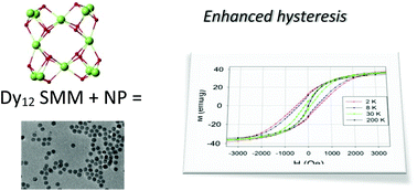 Graphical abstract: Hysteresis enhancement on a hybrid Dy(iii) single molecule magnet/iron oxide nanoparticle system