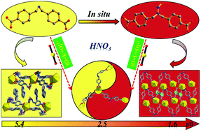 Graphical abstract: In situ nitroso formation induced structural diversity of uranyl coordination polymers
