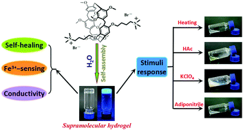Graphical abstract: Pillar[5]arene-based multifunctional supramolecular hydrogel: multistimuli responsiveness, self-healing, fluorescence sensing, and conductivity