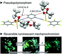 Graphical abstract: A meta-diisocyanide benzene-based aryl gold isocyanide complex exhibiting multiple solid-state molecular arrangements and luminescent mechanochromism