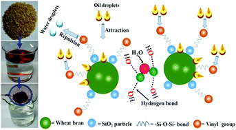 Graphical abstract: Bio-based oil gelling agent for effective removal of oil spills from the surface of water