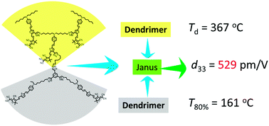 Graphical abstract: Janus molecules: large second-order nonlinear optical performance, good temporal stability, excellent thermal stability and spherical structure with optimized dendrimer structure