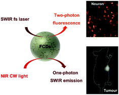 Graphical abstract: Short-wave infrared emitted/excited fluorescence from carbon dots and preliminary applications in bioimaging