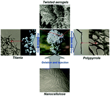 Graphical abstract: Aerogel templating on functionalized fibers of nanocellulose networks