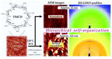 Graphical abstract: Self-organisation and characterisation of hierarchical structures in trimethyl β-cyclodextrin nano-films
