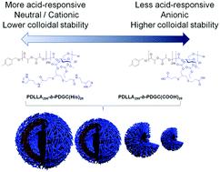Graphical abstract: Co-assembly of sugar-based amphiphilic block polymers to achieve nanoparticles with tunable morphology, size, surface charge, and acid-responsive behavior